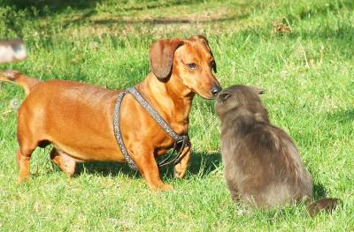 Прикрепленное изображение: t1.jpg